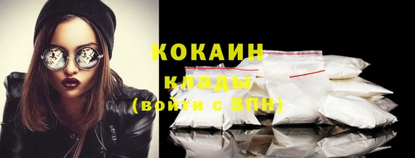 шишки Новокубанск