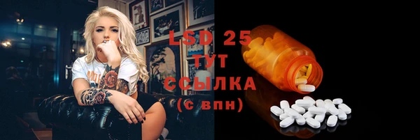 спиды Новодвинск