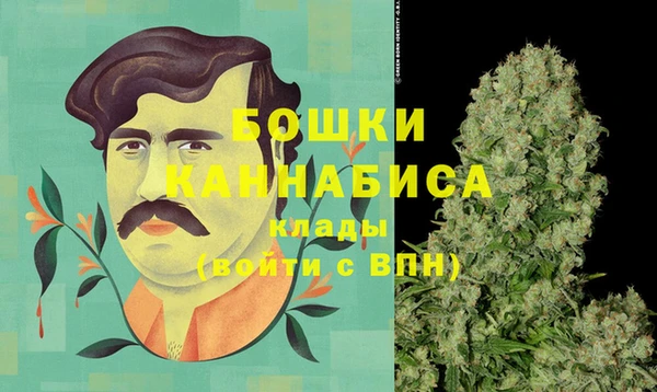 шишки Новокубанск