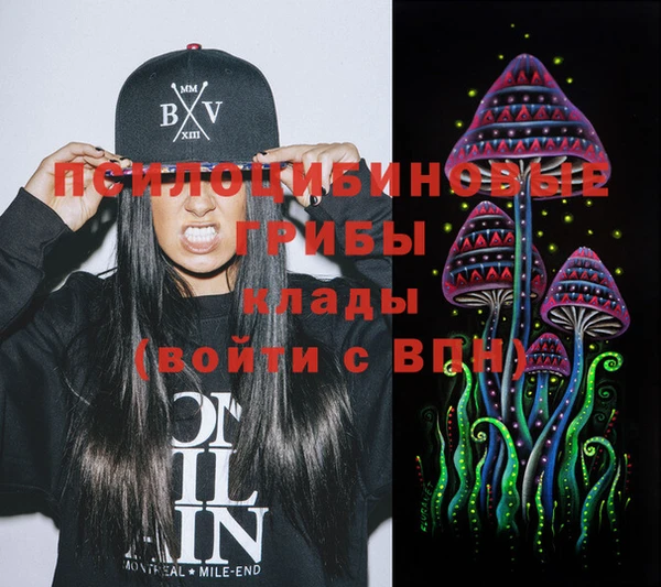 шишки Новокубанск