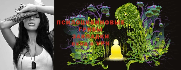 спиды Новодвинск